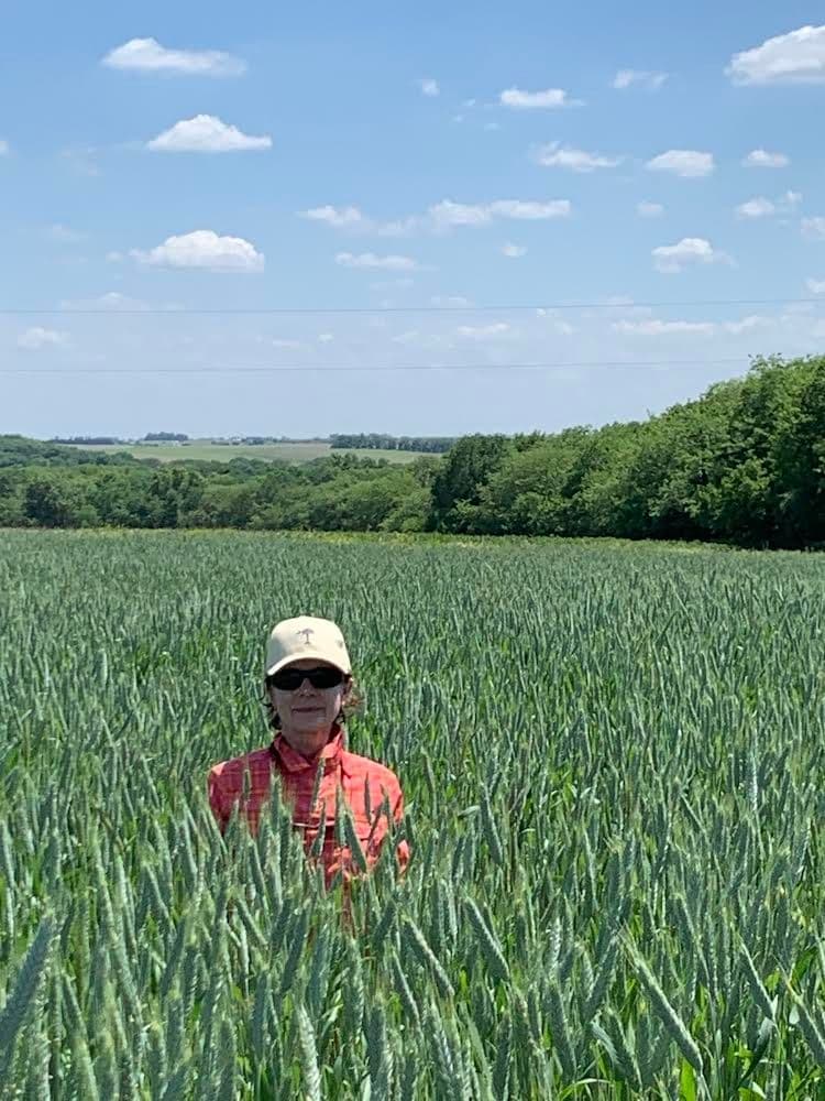 Michael McDonald in a crop field