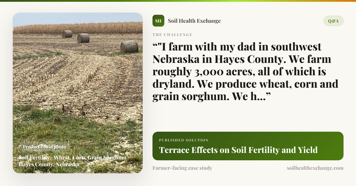 Terrace Effects on Soil Fertility and Yield | Soil Health Exchange